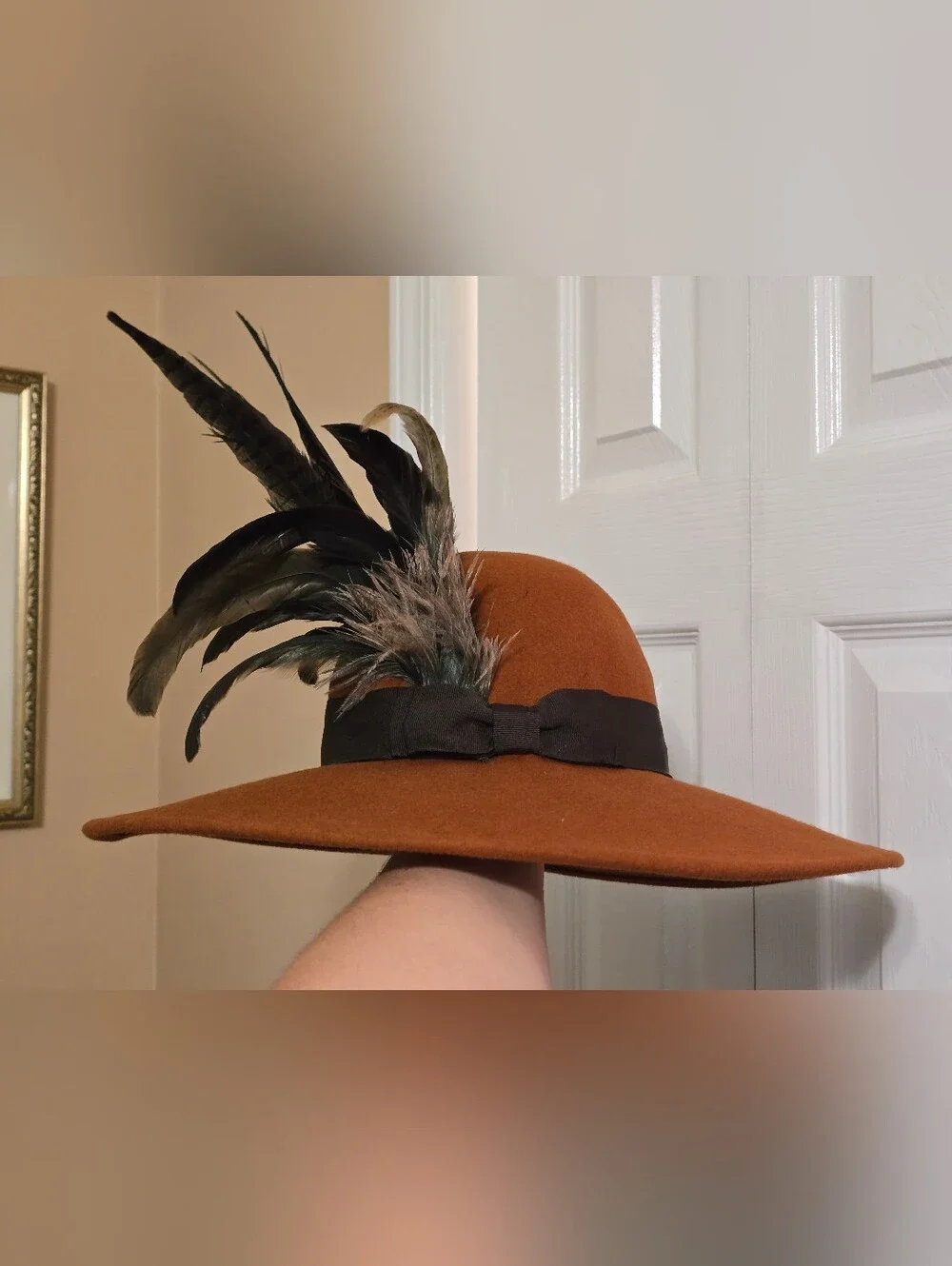 Wide Brim Feather Accent Wool Hat - Rust Brown
